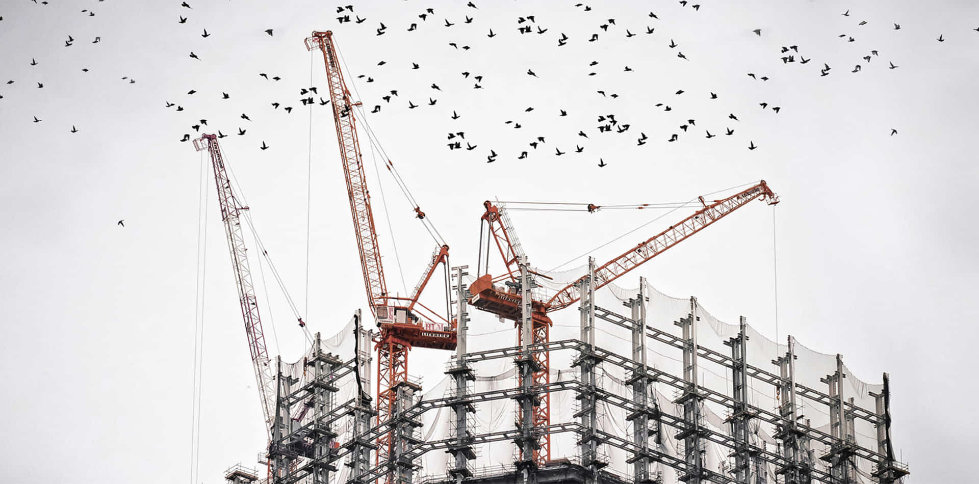 Infrastructural leader gains market confidence construction